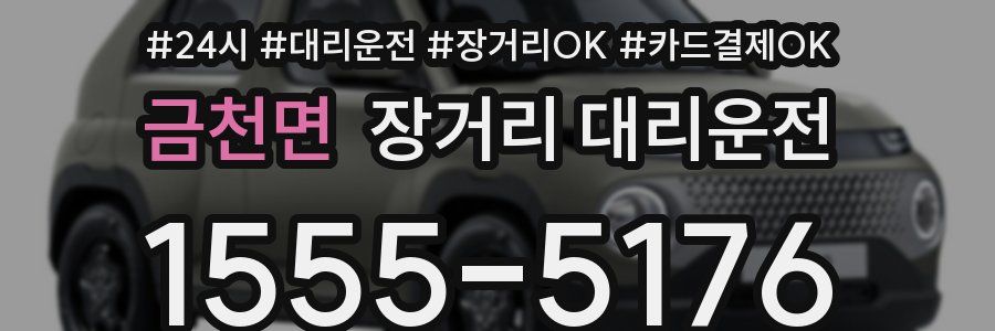 금천면 장거리 대리운전