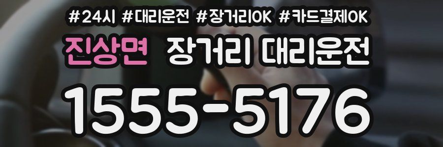 진상면 장거리 대리운전