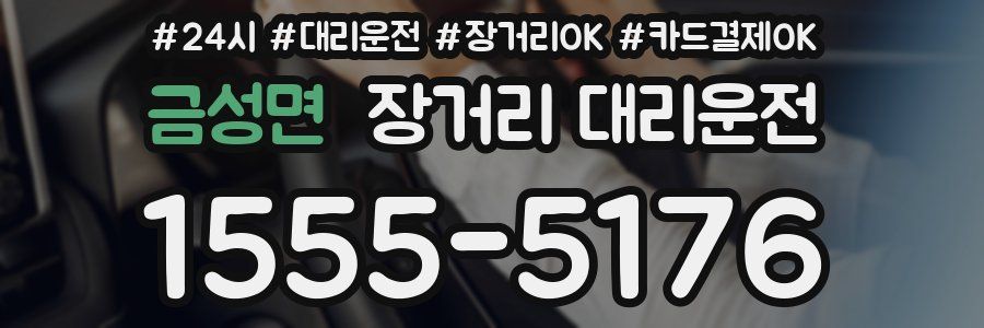 금성면 장거리 대리운전