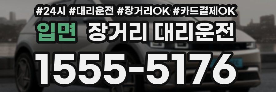 입면 장거리 대리운전