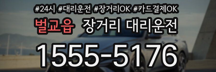 벌교읍 장거리 대리운전