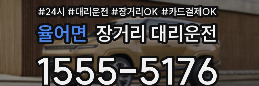 율어면 장거리 대리운전