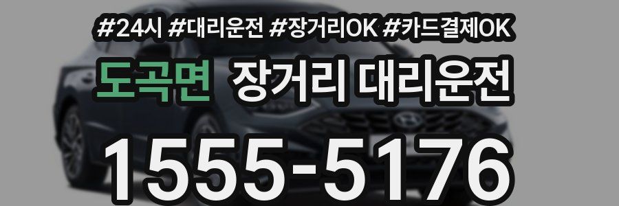 도곡면 장거리 대리운전