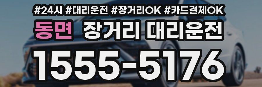 동면 장거리 대리운전