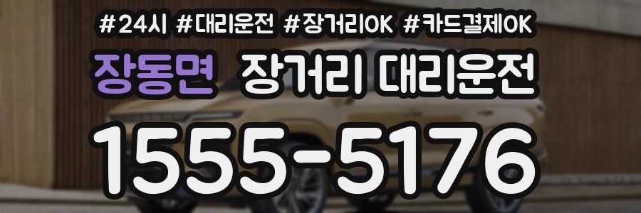 장동면 장거리 대리운전