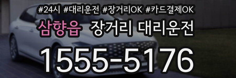 삼향읍 장거리 대리운전