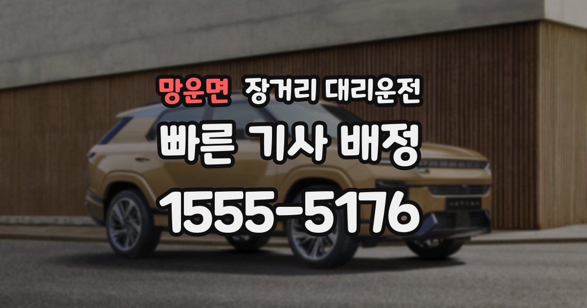 망운면 장거리 대리운전