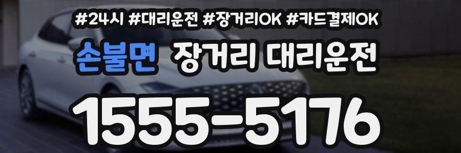손불면 장거리 대리운전