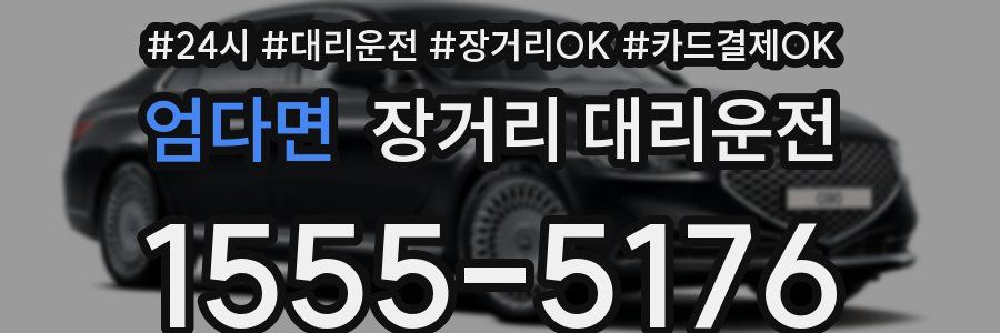 엄다면 장거리 대리운전