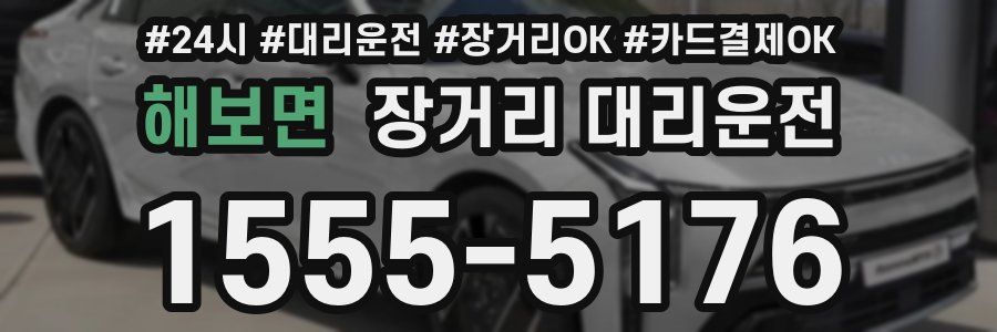 해보면 장거리 대리운전