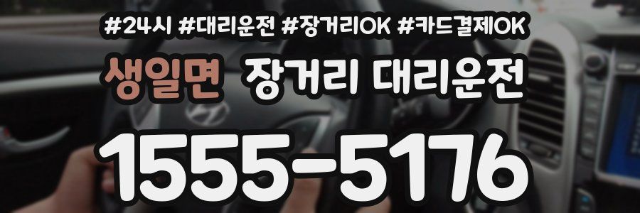 생일면 장거리 대리운전