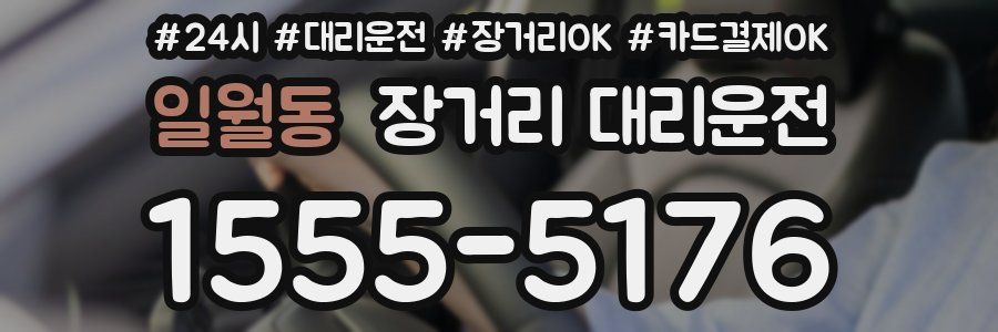일월동 장거리 대리운전