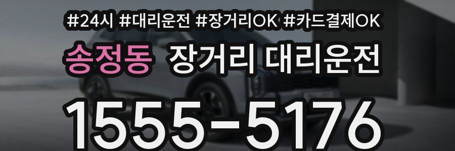 송정동 장거리 대리운전