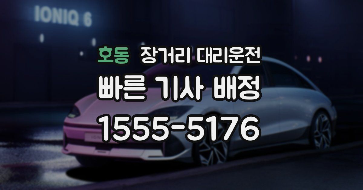 호동 장거리 대리운전