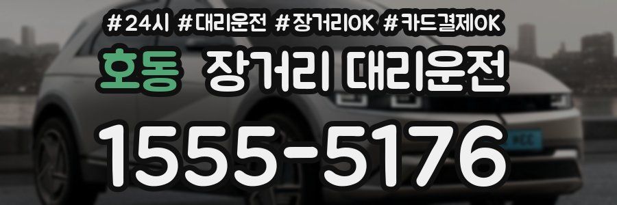 호동 장거리 대리운전
