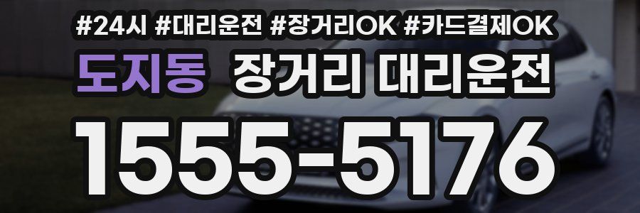 도지동 장거리 대리운전