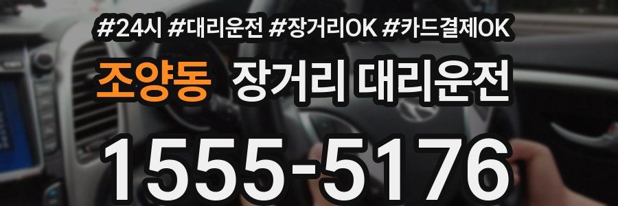 조양동 장거리 대리운전
