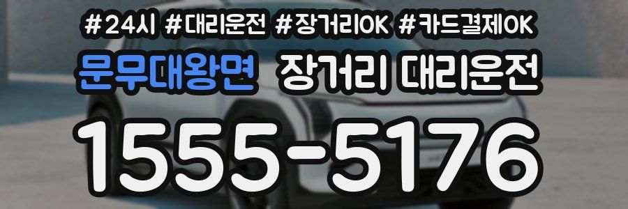 문무대왕면 장거리 대리운전