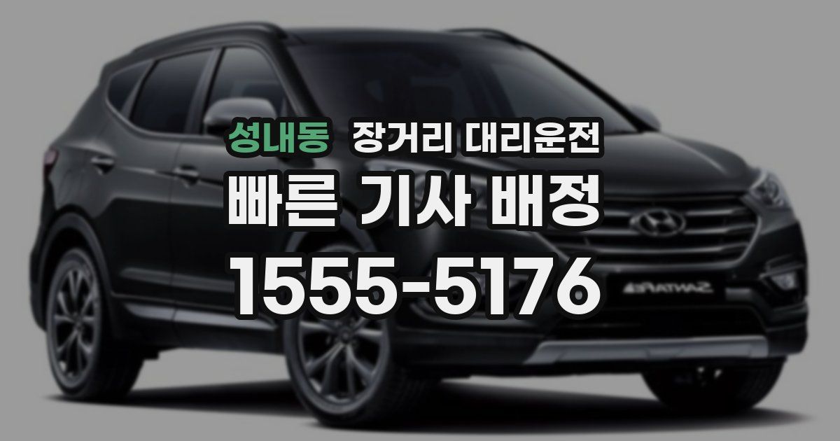 성내동 장거리 대리운전