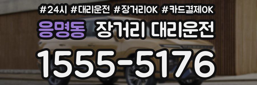 응명동 장거리 대리운전