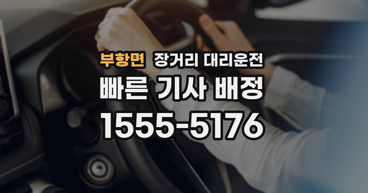 부항면 장거리 대리운전