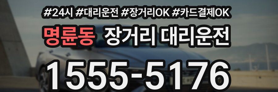 명륜동 장거리 대리운전