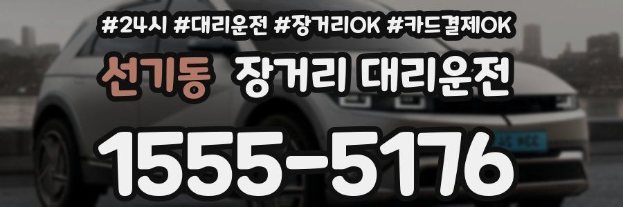 선기동 장거리 대리운전