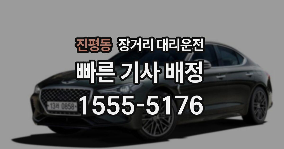 진평동 장거리 대리운전