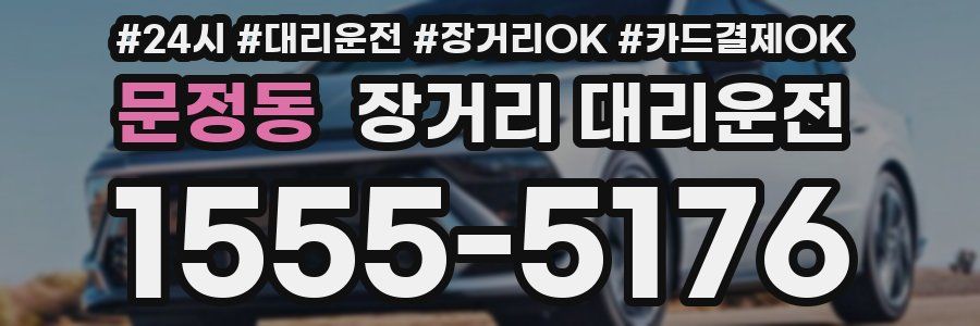 문정동 장거리 대리운전