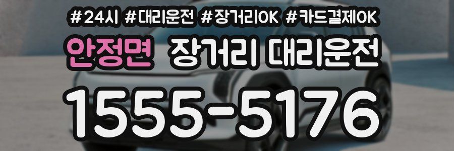 안정면 장거리 대리운전