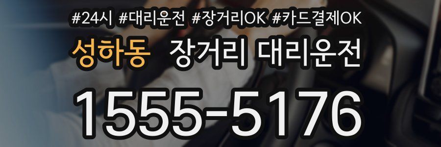 성하동 장거리 대리운전