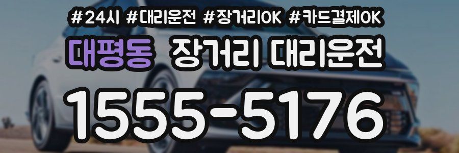 대평동 장거리 대리운전