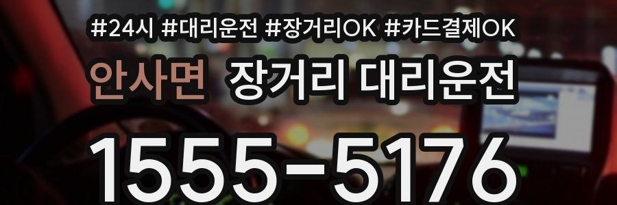안사면 장거리 대리운전