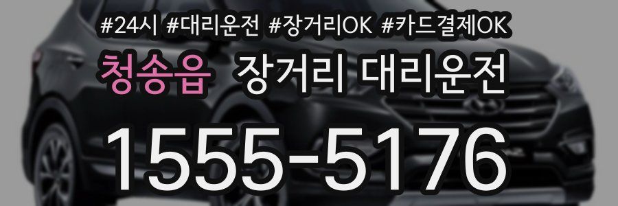 청송읍 장거리 대리운전