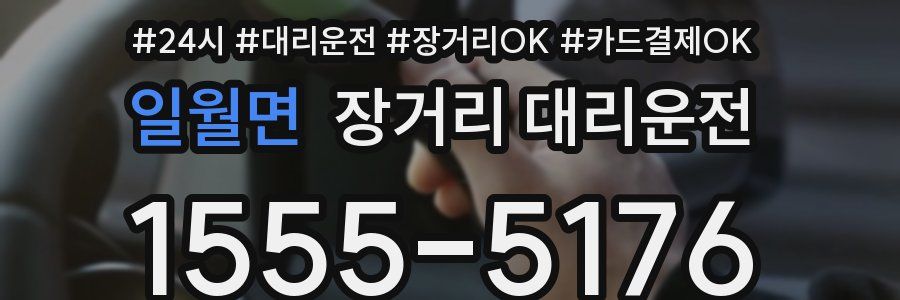 일월면 장거리 대리운전