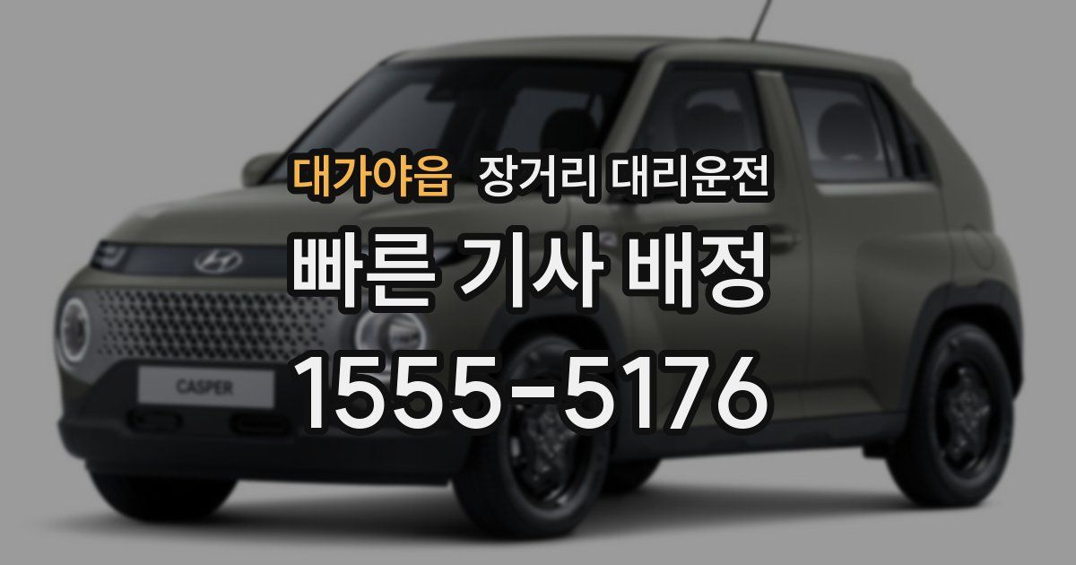 대가야읍 장거리 대리운전