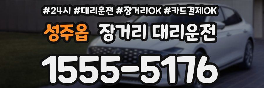 성주읍 장거리 대리운전