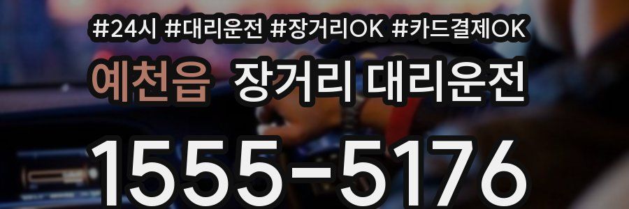 예천읍 장거리 대리운전