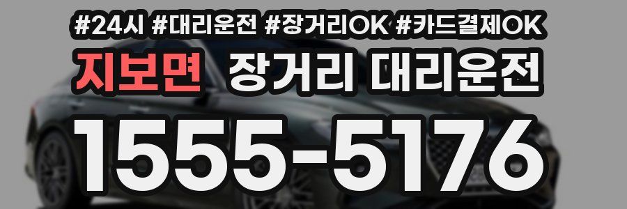 지보면 장거리 대리운전