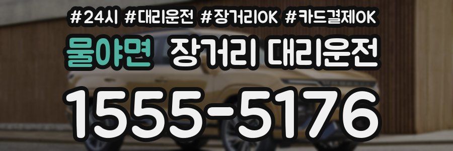 물야면 장거리 대리운전