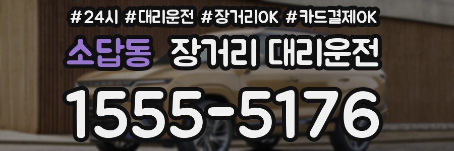 소답동 장거리 대리운전