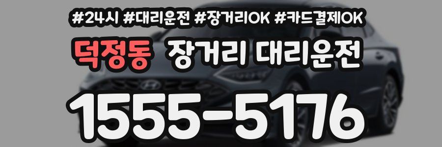 덕정동 장거리 대리운전