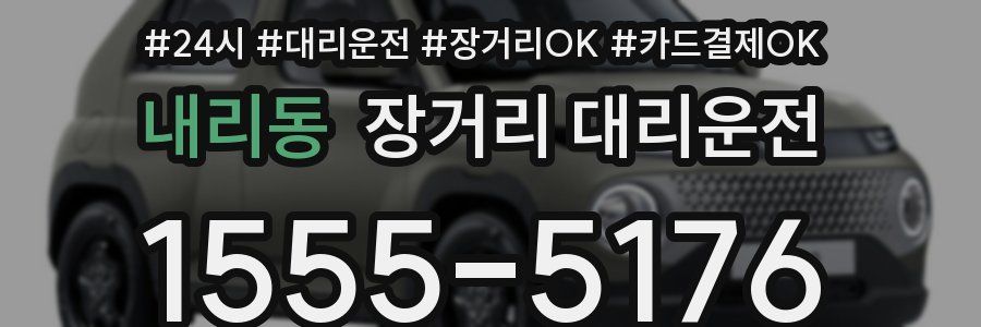 내리동 장거리 대리운전