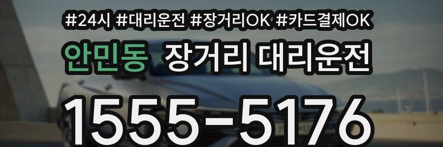 안민동 장거리 대리운전