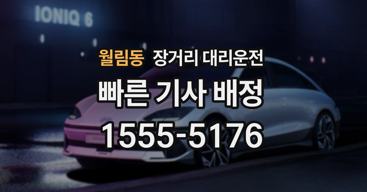 월림동 장거리 대리운전