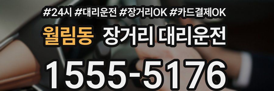 월림동 장거리 대리운전