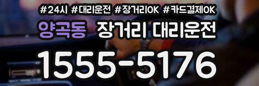 양곡동 장거리 대리운전