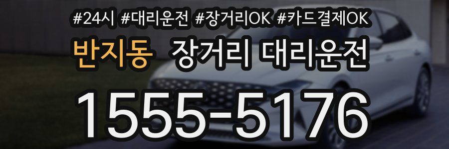 반지동 장거리 대리운전