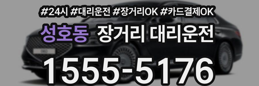 성호동 장거리 대리운전