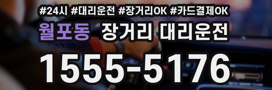 월포동 장거리 대리운전